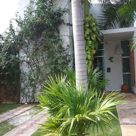 Casa Rioja Playacar Bed & Breakfast Playa del Carmen Bagian luar foto