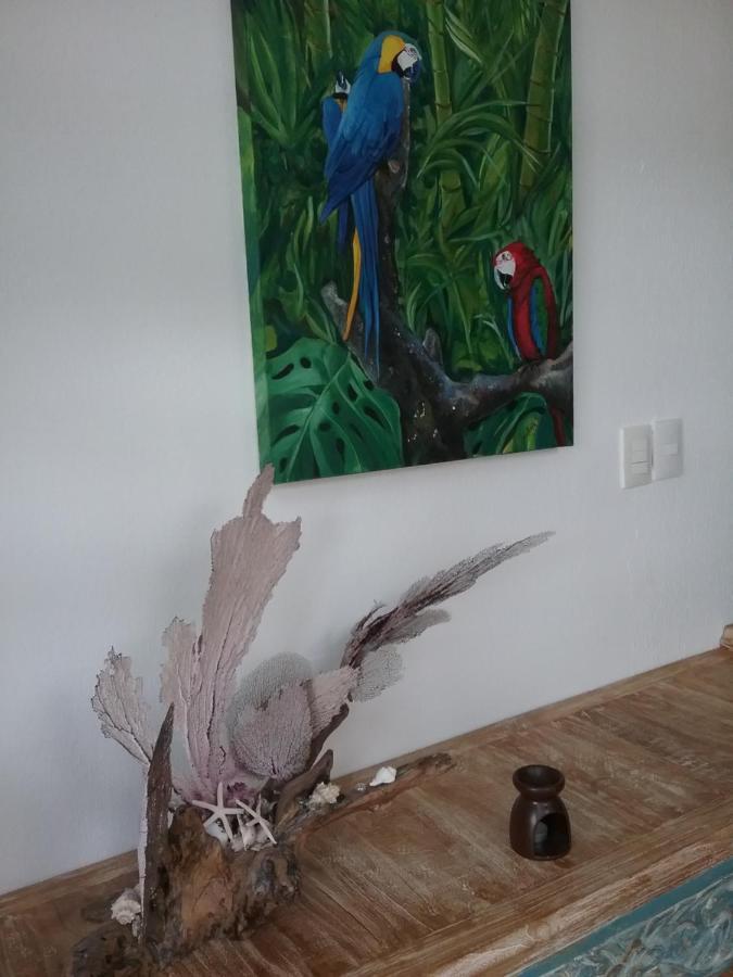 Casa Rioja Playacar Bed & Breakfast Playa del Carmen Bagian luar foto