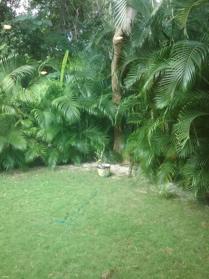 Casa Rioja Playacar Bed & Breakfast Playa del Carmen Bagian luar foto
